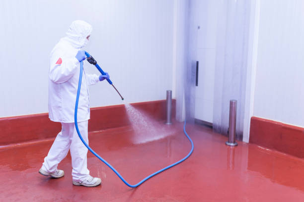 Trusted Mccom, MS  Pressure Washing Services Experts